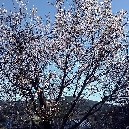 Daire Rifugio Nel Borgo