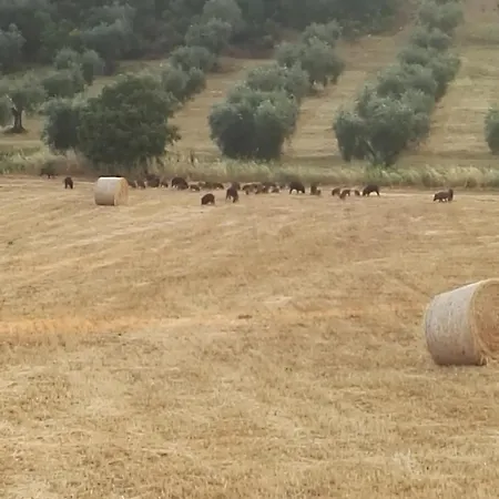 Daire Rifugio Nel Borgo *