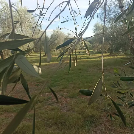 Daire Rifugio Nel Borgo Grosseto